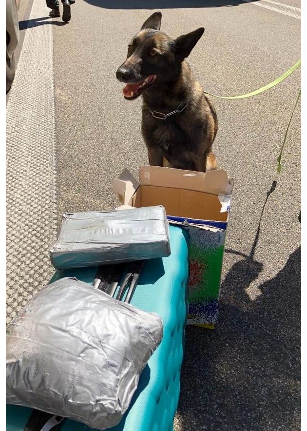 ZOLL-E: Zollhund Cleo findet Ecstasy und Kokain am Niederrhein und führt so zur Zerschlagung eines Drogenrings in Rumänien/fünf Personen festgenommen, über 12 kg Ecstasy-Pillen und 2 kg Kokain sichergestellt