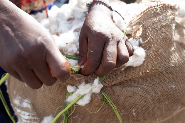Cotton made in Africa bricht bisherige Nachfrage- und Angebotsrekorde