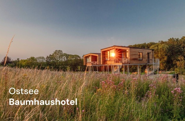 Ostsee Baumhaus GmbH & Co. KG: Ostsee Baumhaushotel schließt Ausbau ab: 14 Baumhäuser auf Höhe der Baumkronen starten in erste volle Saison 2026