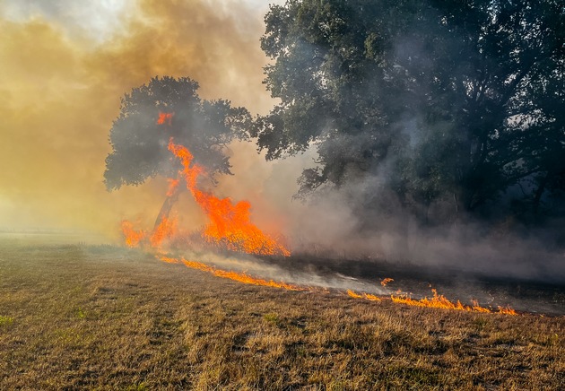 FW Lehrte: Waldbrand im Hämelerwald: 450 Einsatzkräfte bekämpfen Feuer auf über 20 Hektar Fläche