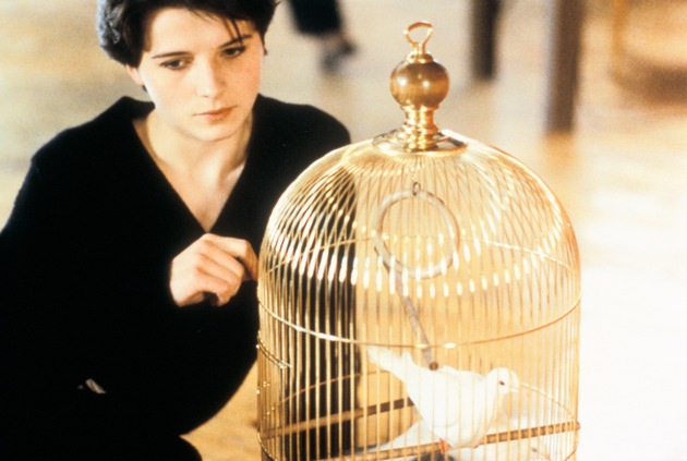 ARTE-Streamingtipps im Mai