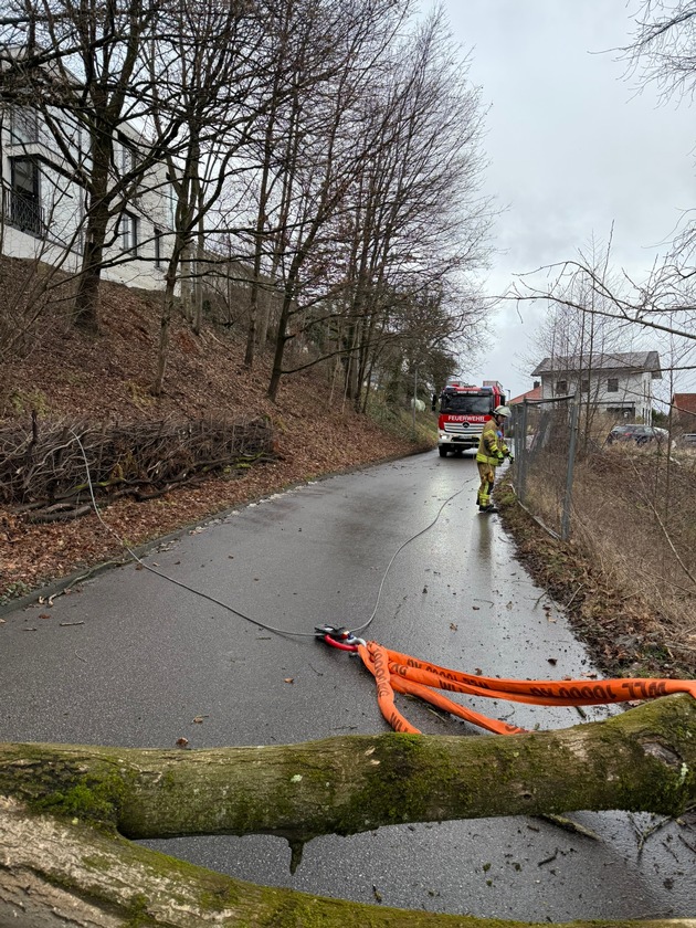 FW Weinheim: Windb&ouml;e fordert Feuerwehr in Rippenweier