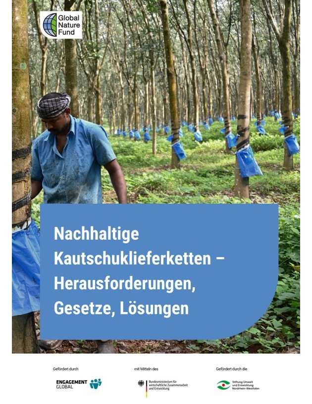 Nachhaltiger Naturkautschuk: Global Nature Fund zeigt Wege zu mehr Zukunftsf&auml;higkeit in Lieferketten
