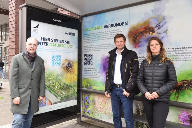 Seltene und bedrohte Wildbienenarten in der Hamburger Innenstadt nachgewiesen: Wall und Deutsche Wildtier Stiftung stellen positive Erstbilanz der ökologisch begrünten Fahrgastunterstände vor –– Ausweitung des Projekts geplant