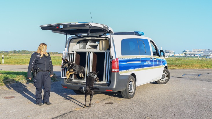 HZA-S: In Rente mit elf Jahren? Zollhund Dewi vom Stuttgarter Flughafen geht in den Ruhestand.