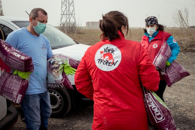 COVID-19 Pandemie: Tausende Streuner in mehreren europäischen Ländern laufen Gefahr zu verhungern