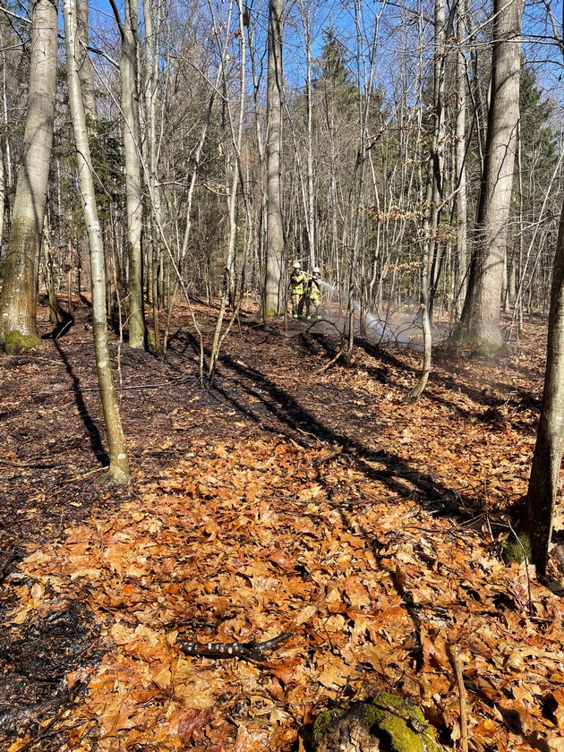 FW Stuttgart: Brand in Wald breitet sich schnell aus