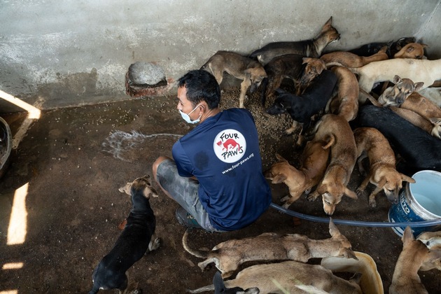 Kambodscha: 61 Hunde auf dem Weg zum Schlachthaus noch rechtzeitig gerettet
