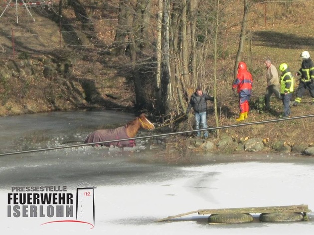 FW-MK: Pferd in Eis eingebrochen