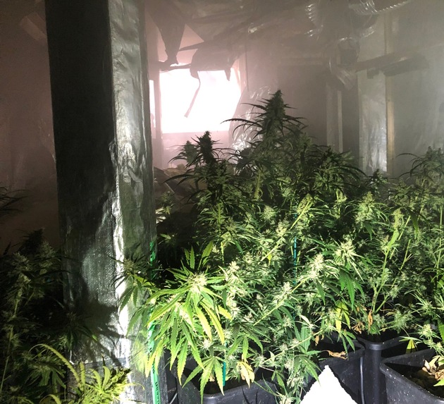 POL-W: W - Brand in der Kaiserstraße - Cannabis-Plantage im Gebäude entdeckt