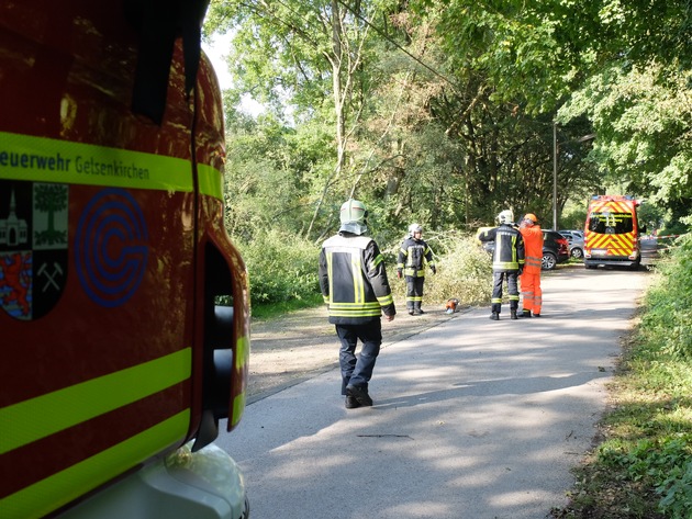 FW-GE: Baum auf Oberleitung in der Resser Mark