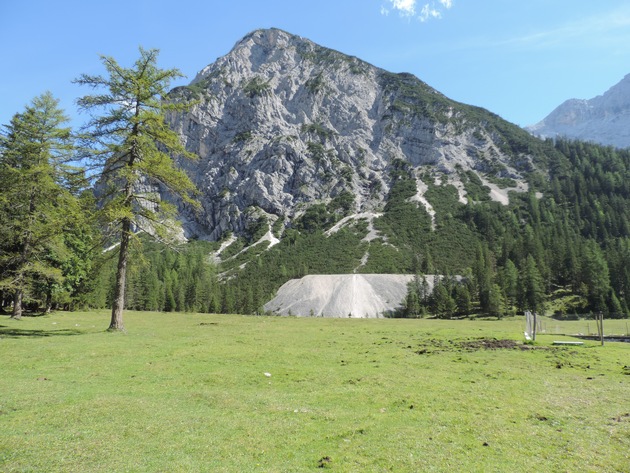 Lavera Waldprojekt in Tirol / Hochalmpflege auf der Kastenalm erfolgreich umgesetzt
