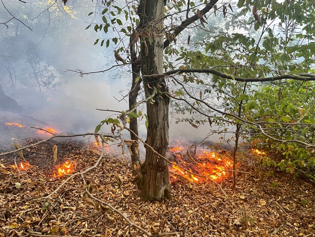 FW-OE: Waldbrand in der Olper Lindenhardt