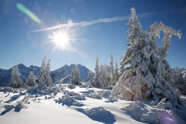 Viele Skibegeisterte genießen den ersten Skitag auf der Planai! - BILD