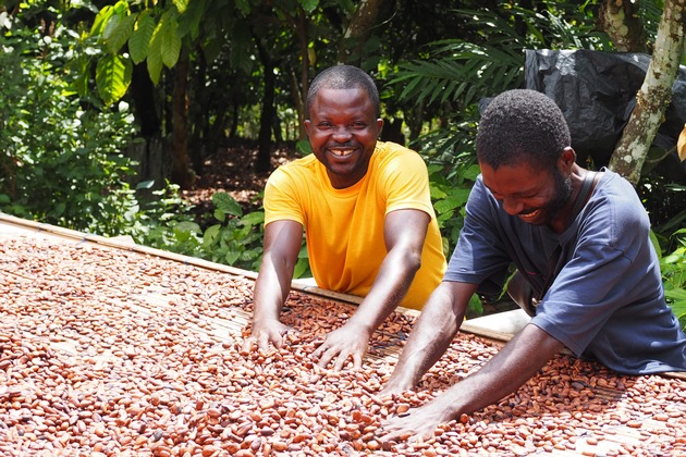 Transparente Lieferketten: Kakao für Ritter Sport Schokolade zu 100% rückverfolgbar