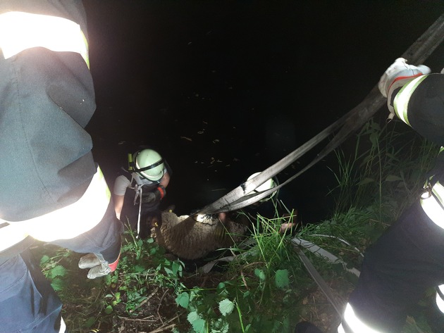 FW Lüchow-Dannenberg: Feuerwehr rettet Schaf aus Schlamm