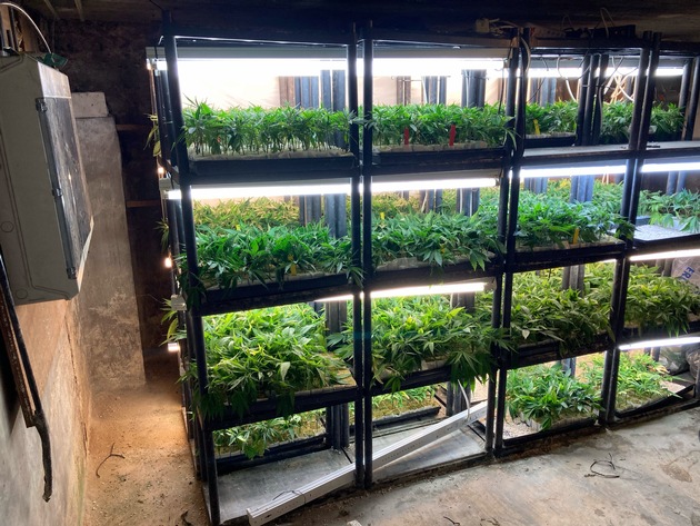 POL-BOR: Ahaus - Cannabisplantage in Wohn-/Geschäftshaus entdeckt - Tatverdächtiger festgenommen