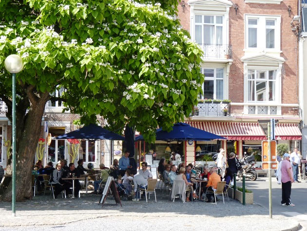 Zukunftsfähiges Stadtklima beginnt bei den Grünetats in den Kommunen