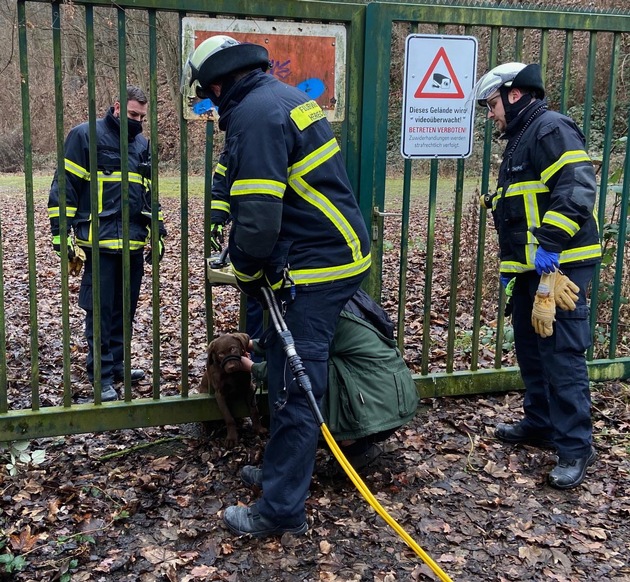 FW-EN: Feuerwehr befreit Hundewelpen aus einem Metalltor