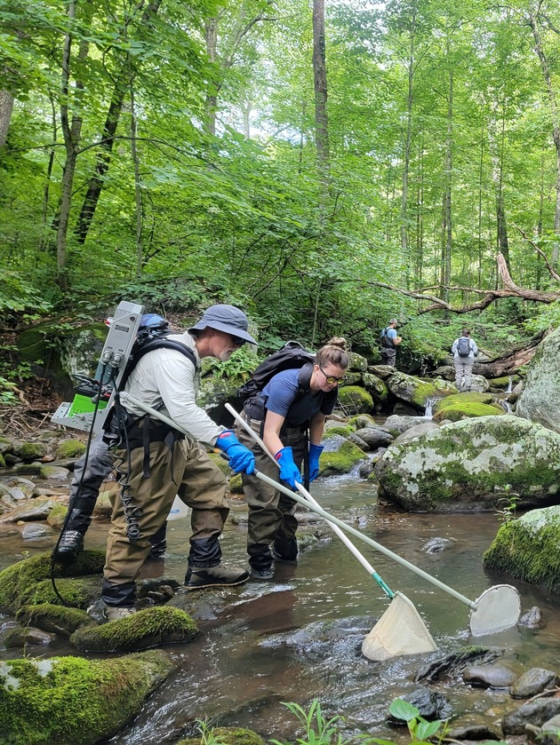 Klimawandel bedroht Fischvielfalt: Nature-Studie belegt Rückgänge in US-Gewässern