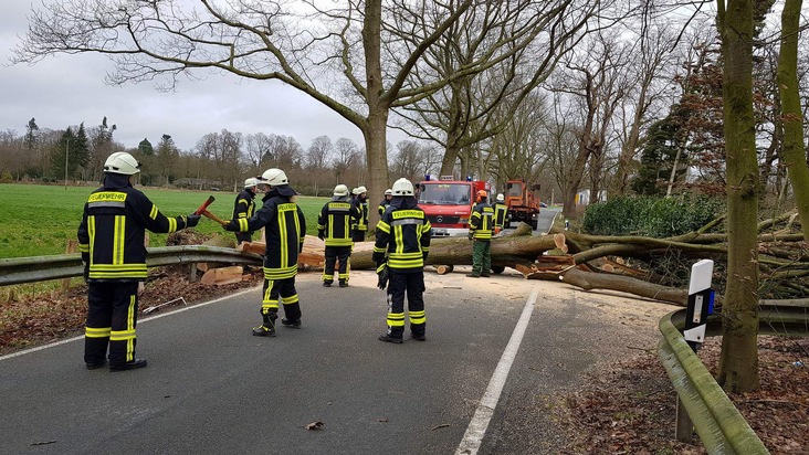 FW-KLE: Sturmtief &quot;Friederike&quot;: Erste Bilanz der Freiwilligen Feuerwehr Bedburg-Hau - Bahnstrecke Krefeld - Kleve gesperrt - Baum auf Mehrfamilienhaus