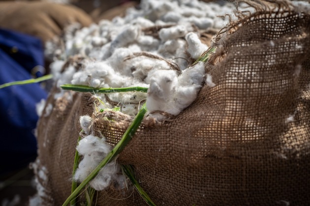 Die Cotton made in Africa Konferenz 2022 in Bremen bildet den Auftakt einer Woche ganz im Zeichen der Baumwolle