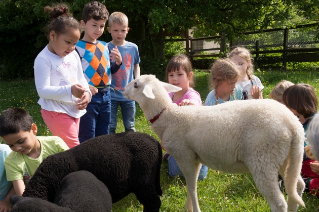 «Tierwelt»-Preis 2016 / Auszeichnung für Kind-und-Tier-Engagement