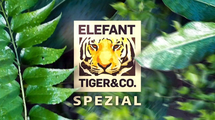 20 Jahre „Elefant, Tiger &amp; Co.“: Eine Erfolgsgeschichte made by MDR