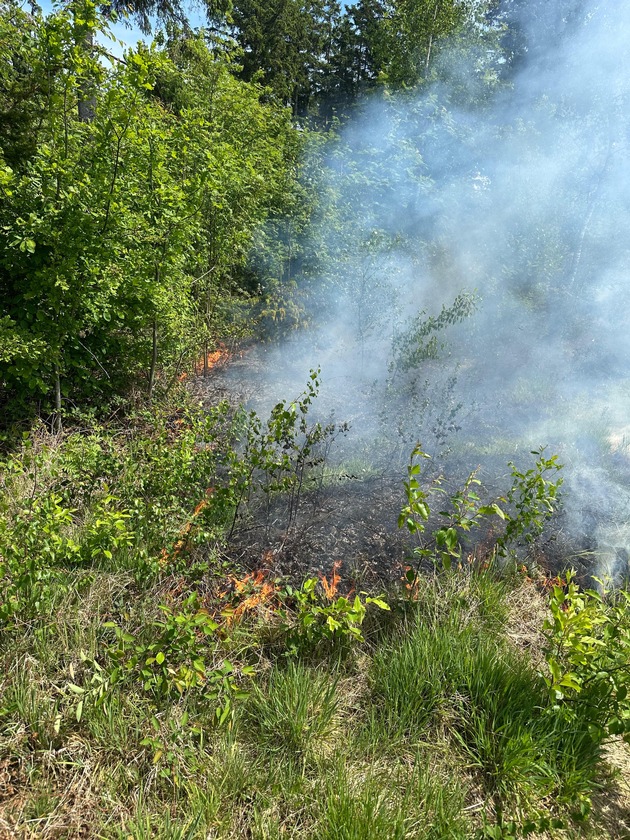 FW-SE: Erneuter Vegetationsbrand in Kaltenkirchen