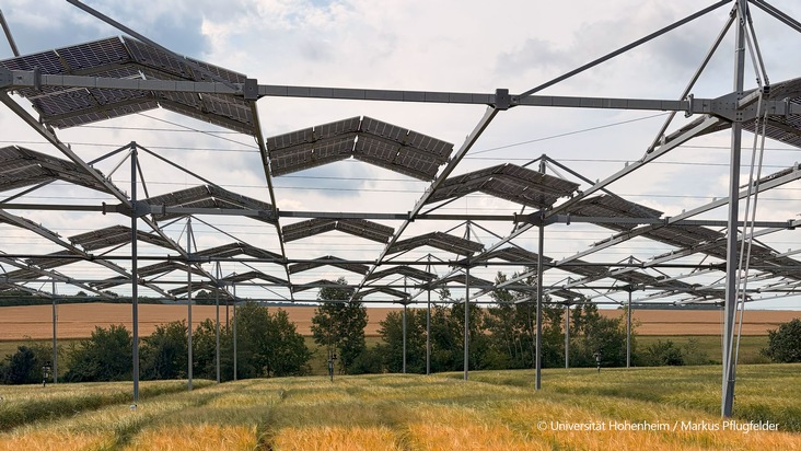Agri-PV & Agroforst: Ackerpflanzen vertragen Beschattung besser als gedacht