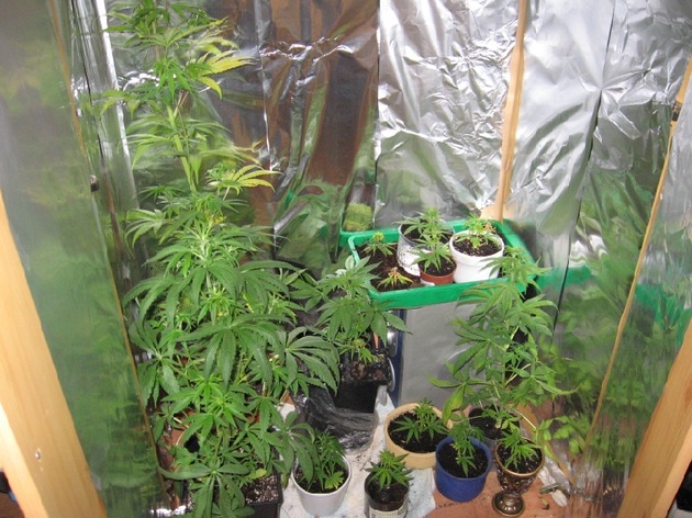 POL-GOE: (279/20008) Bei Durchsuchung - Polizei findet Cannabispflanzen im Kleiderschrank