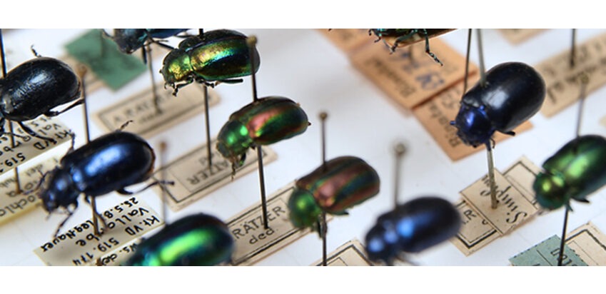 Anlässe im Naturmuseum SO im Monat November