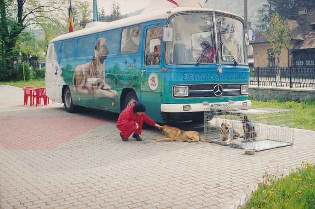 Wie ein Retro-Polizeibus zur Tierklinik für Streuner wurde