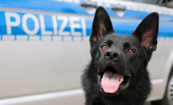 POL-BN: Rheinbach/Euskirchen/Köln/Bonn:Verkehrskontrolle auf der Autobahn 61 bei Rheinbach: Polizei stellt 18 Kilogramm Kokain sicher