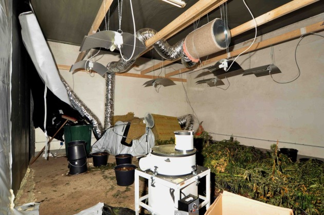 POL-NI: &quot;Kommissar Zufall&quot; führt Nienburger Polizei zu zwei Indoorplantagen -Bilder im Download-