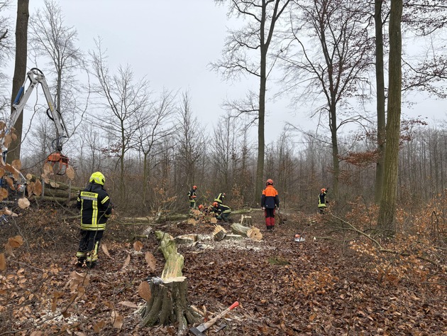 FW Wathlingen: Motorkettensägenausbildung in der Samtgemeinde Wathlingen - 12 Einsatzkräfte absolvieren das Modul A