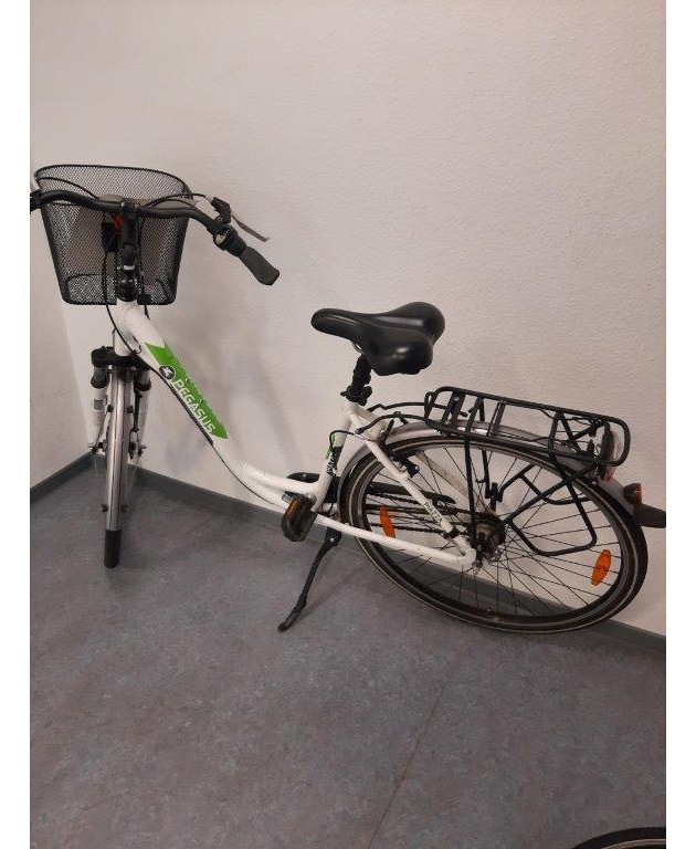 BPOLI MD: Eigentümer gesucht: Wem gehören diese Fahrräder?