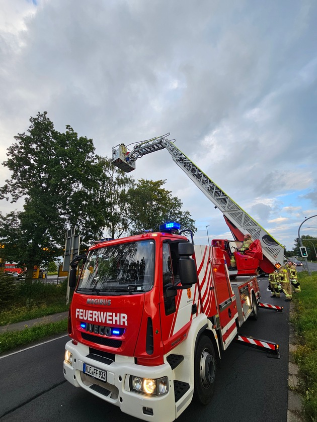 FW-KLE: Ara aus Baum gerettet