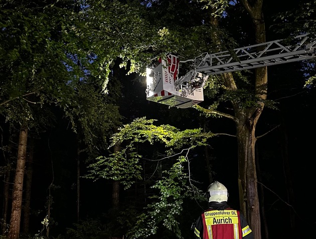FW-AUR: Äste im Egelser Wald herabgestürzt
