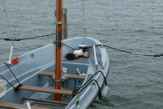 Deutsche Marine - Pressemeldung: Ostern bei der Marine - An der Marinetechnikschule sind die Hasen los