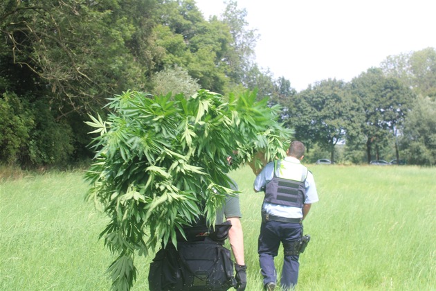 POL-KR: Hülser Berg: Spaziergängerin findet Cannabispflanzen - Zeugen gesucht