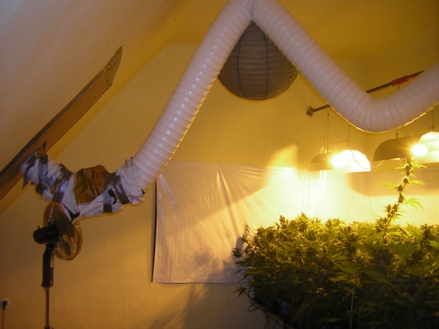 POL-GOE: (1265/2006) Illegale Cannabis - Indoor-Pflanzanlage in Wohnung entdeckt