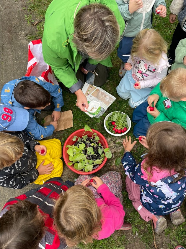 Bildungsf&ouml;rderung: Kita-Kinder bauen eigenes Gem&uuml;se an