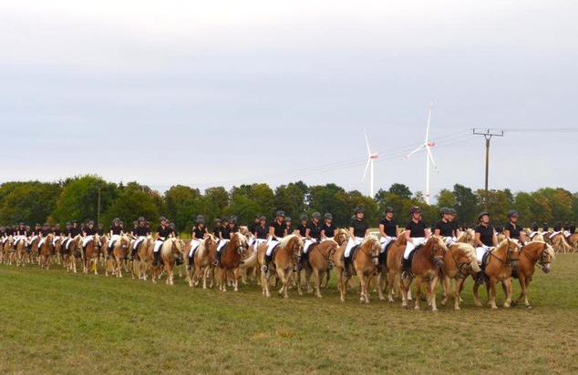Internationale Haflinger-Gruppe formt größte Quadrille und reitet synchron zum Weltrekord