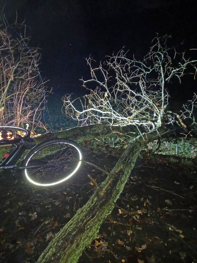 FW-EN: Mehrere Einsätze für die Feuerwehr Herdecke - Baum fällt im dunklen um und Fahrradfahrerin kollidiert mit Baum
