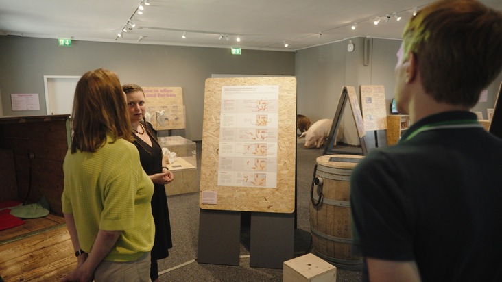 «Man begegnet den Schweinen auf Augenhöhe»