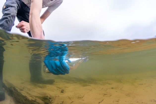 Studie an der Lippe: 1.072 Arten in einem Eimer Wasser