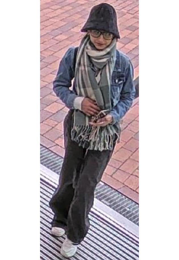 POL-EL: Emlichheim - Öffentlichkeitsfahndung nach Computerbetrug - Wer kennt diese Person?
