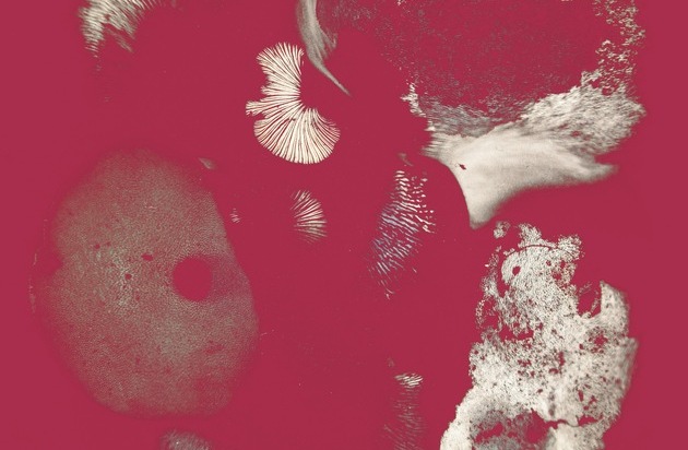 Garten Hotels: G&auml;rten werden zur Galerie: 21 Schweizer Hotels lancieren Art Garten Hotels