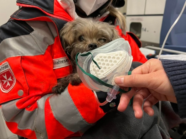 FW Sankt Augustin: Küchenbrand mit Rauchgasdurchzündung - drei Verletzte - Hund mit Sauerstoff versorgt